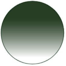 85%-15% Gradient Green G15 Tint Option for Your Sunglasses or Glasses, Prescription or Non-Prescription. - Lenswap™️ Australia